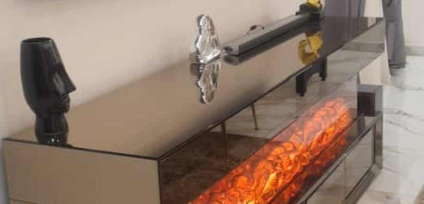 Newly Built 4-Bedroom with High-End Luxury Finishes and Furnishings for Sale