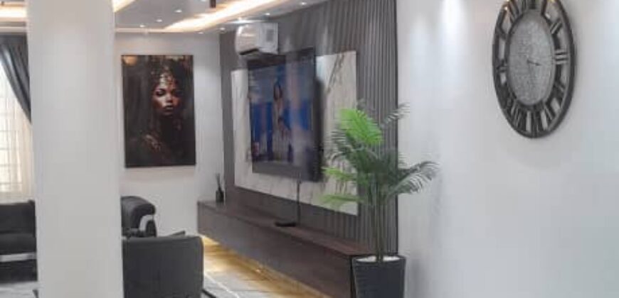 Newly Built 4-Bedroom with High-End Luxury Finishes and Furnishings for Sale